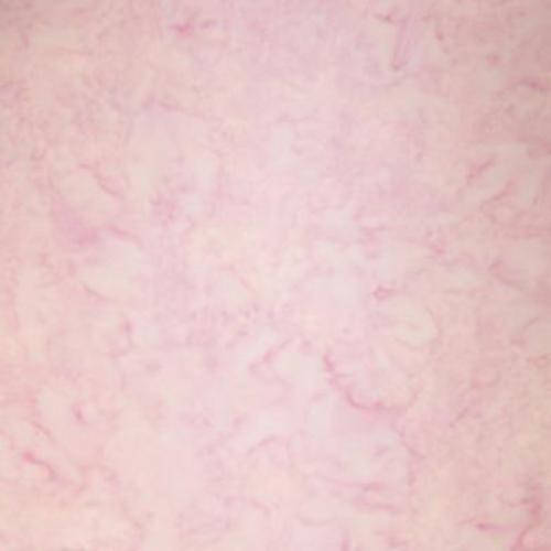 1895 Watercolor Pink