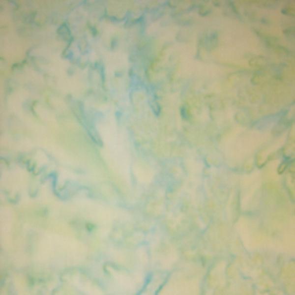 1895 Watercolor Teal