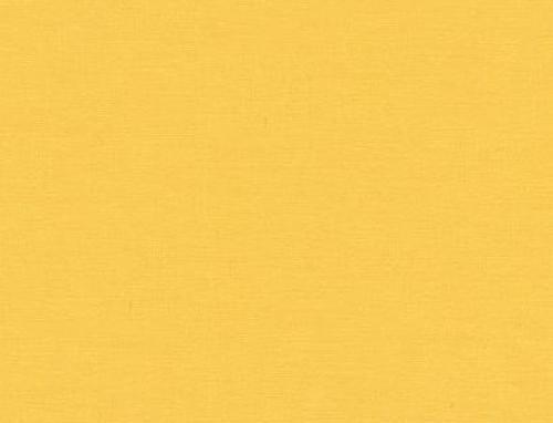 Kona Cotton #350 Cheddar