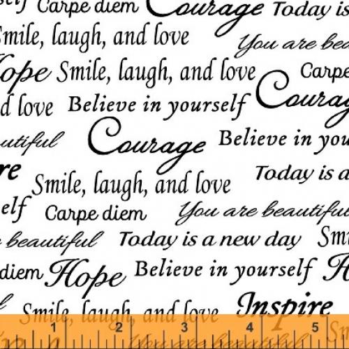 Windham 108 Quilt Backs White