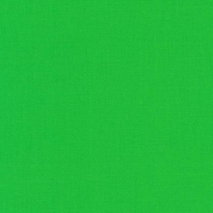 Kona Cotton #1188 Kiwi