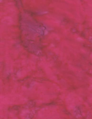 BeColourful: Rainbow Collection Pink