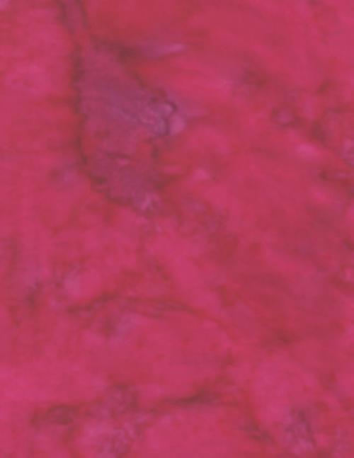 BeColourful: Rainbow Collection Pink