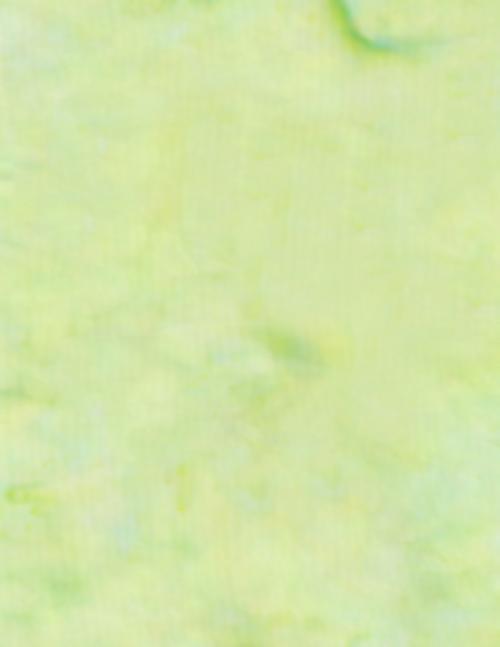 BeColourful: Rainbow Collection Green