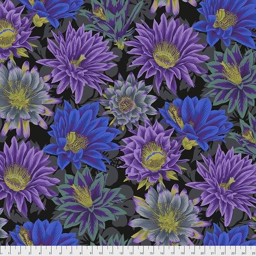 Kaffe Fassett Collective: Classics Black