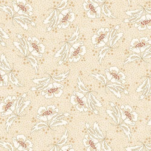 Kim Diehl Widebacks Cream