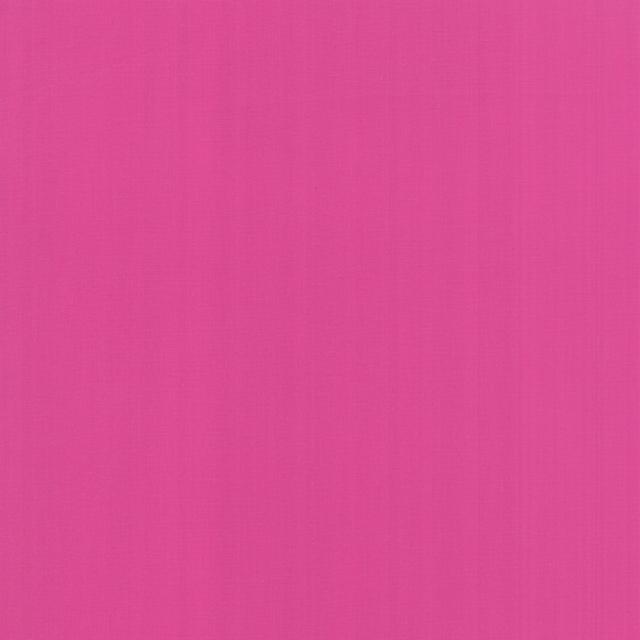 Bella Solids Petunia