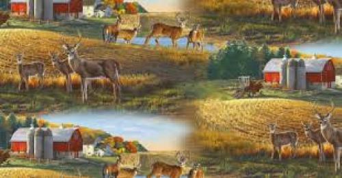 Landscape Medley Multi