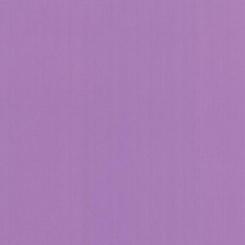 Bella Solids Purple