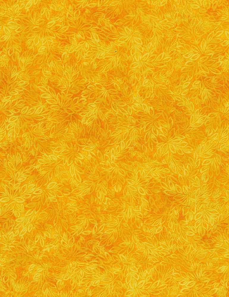 Meadow Basic - TT Yellow