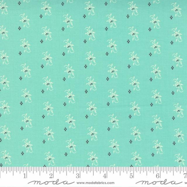 Fresh Fig Favorites Aqua