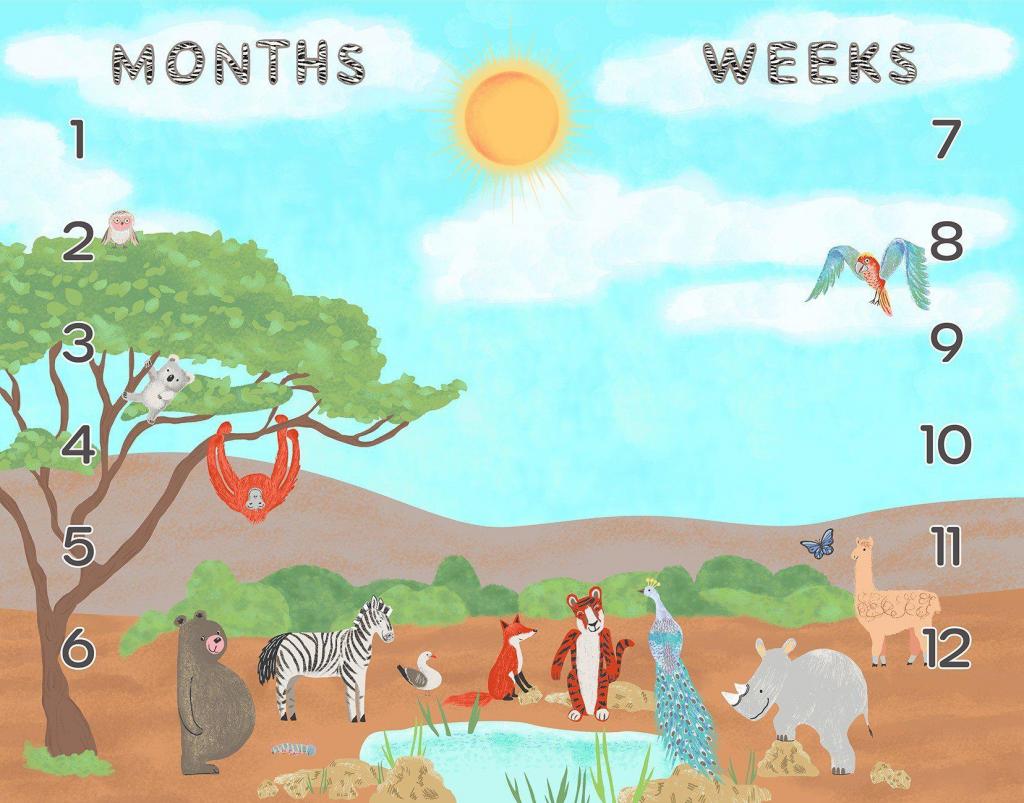 A is for Animal Panel