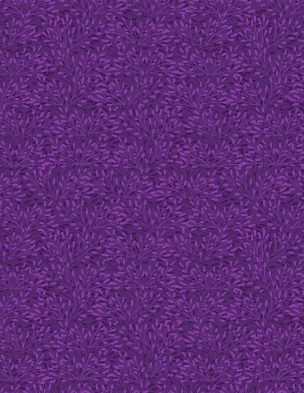 Essentials Whimsy Purple