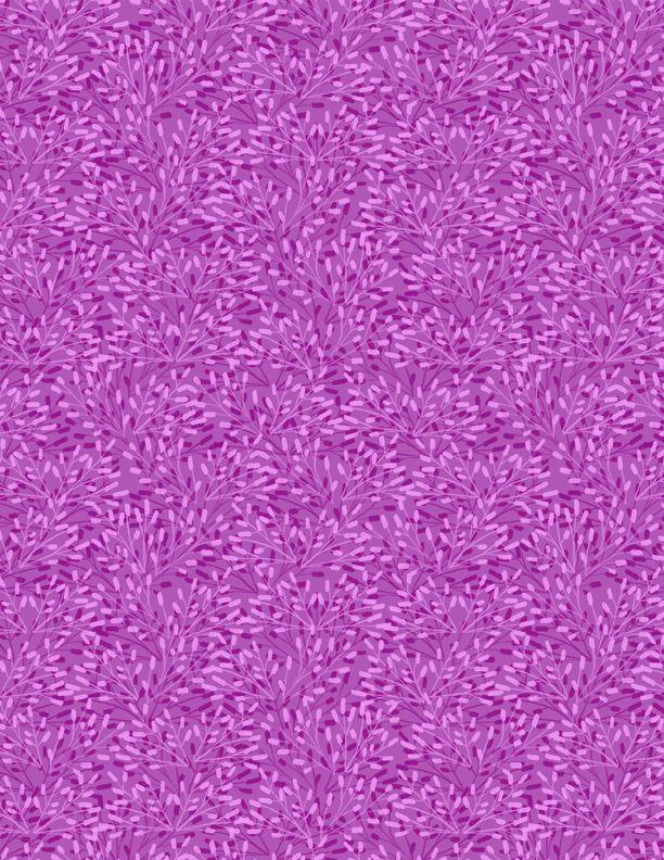 Essentials Whimsy Purple