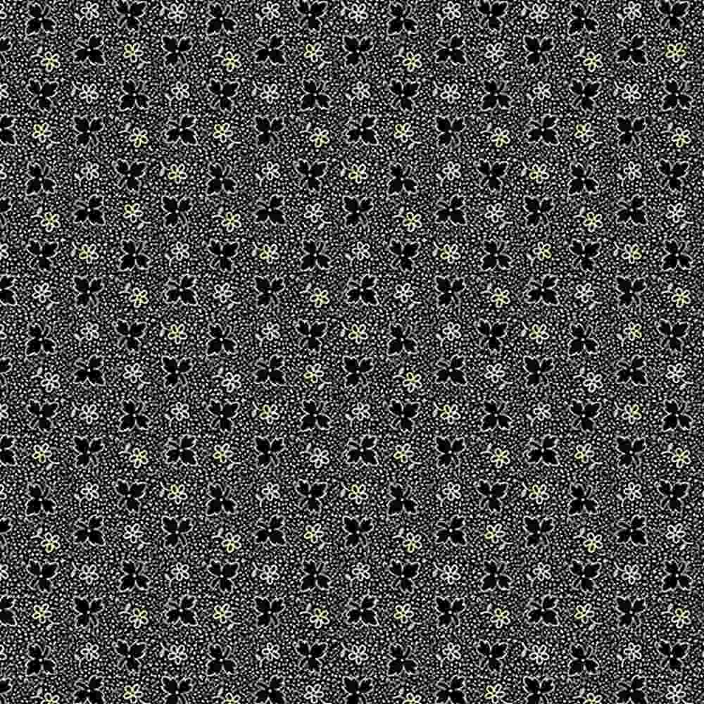 Midnight Lace Black