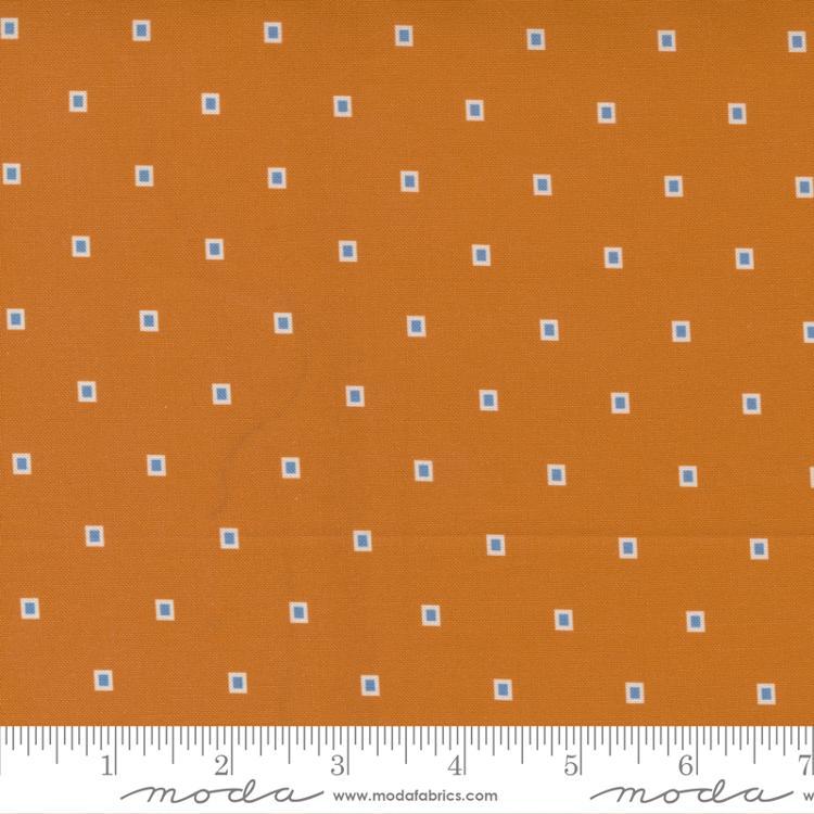 Picture Perfect Orange