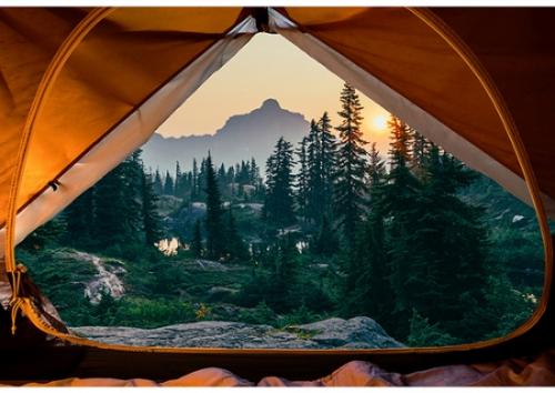 Sleeping Under the Stars Panel