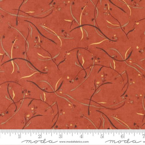 Sunflower Garden Orange