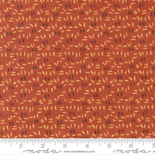 Sunflower Garden Orange