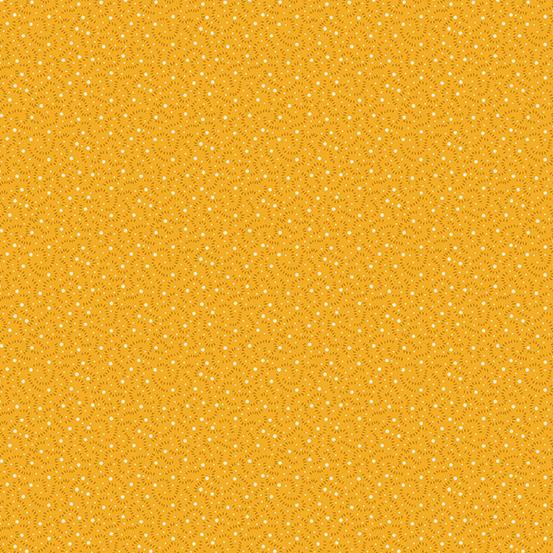 Indigo Cheddar Orange