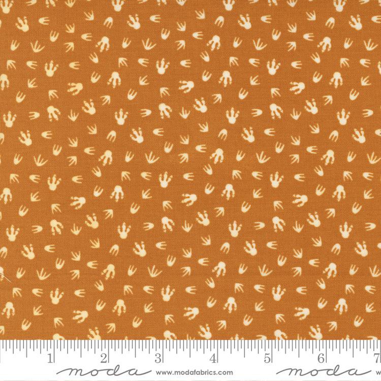 Stomp Stomp Roar Orange