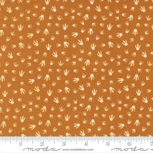 Stomp Stomp Roar Orange