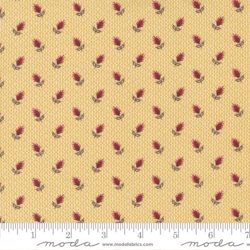 Florence's Fancy Yellow