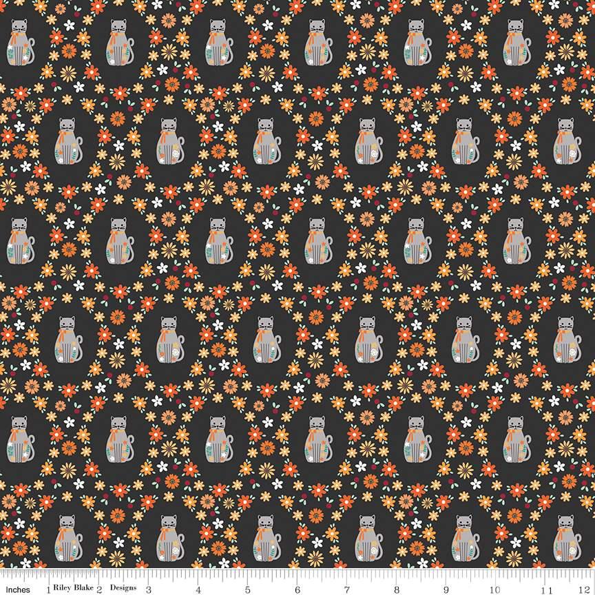 Haunted Adventure Black