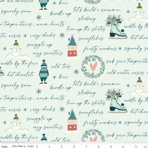 Arrival of Winter Aqua