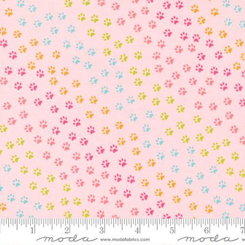 Here Kitty Kitty Pink