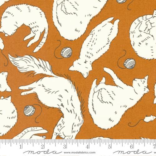 Here Kitty Kitty Brown