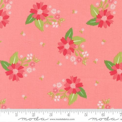 Strawberry Lemonade Pink