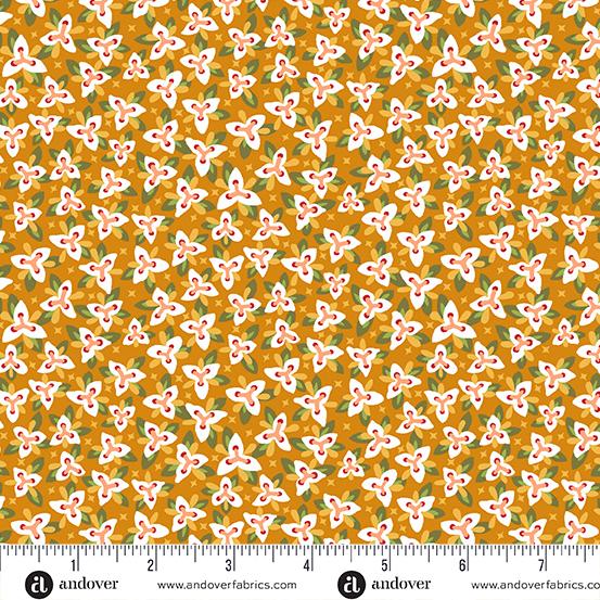 Floral States Orange