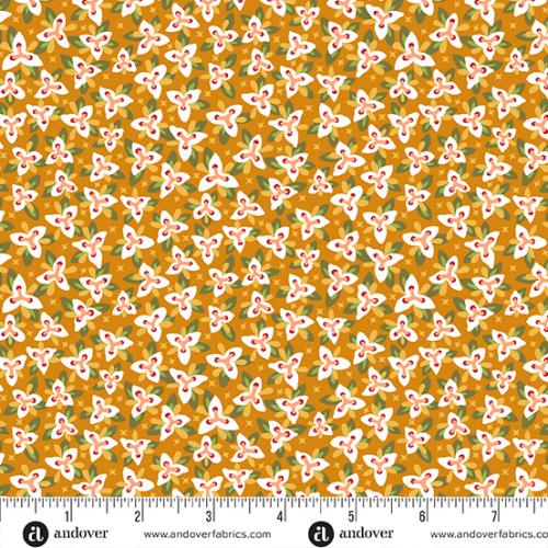 Floral States Orange