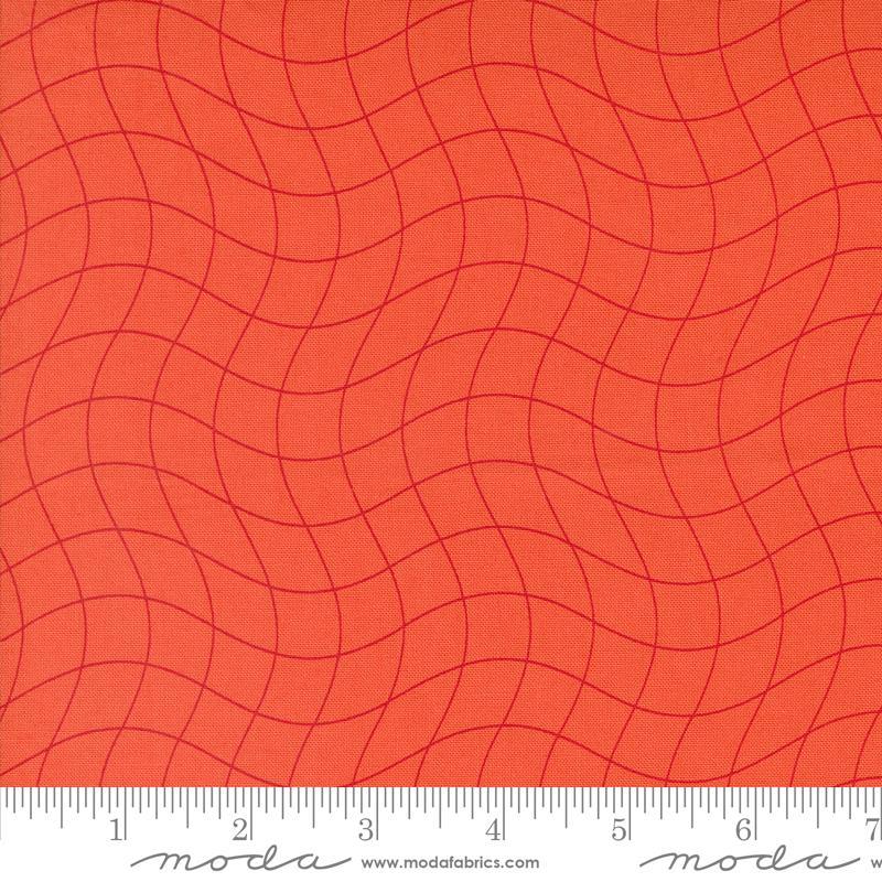 Rainbow Spice Orange