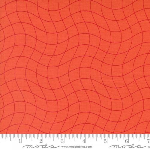 Rainbow Spice Orange