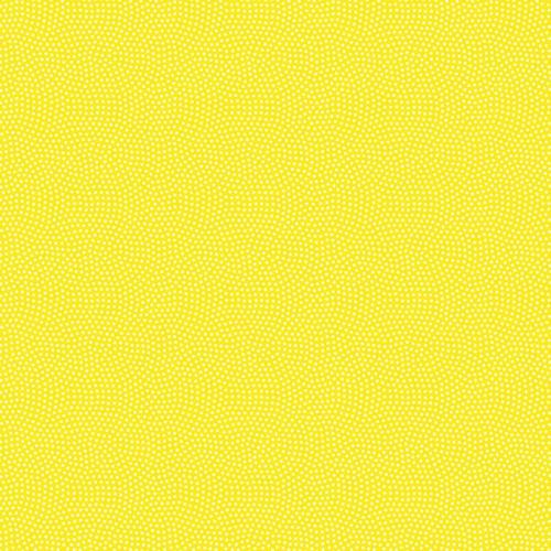 Spin Basic Yellow