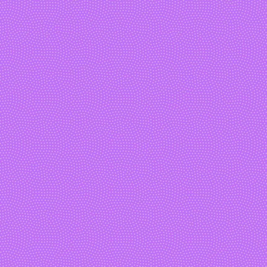 Spin Basic Purple