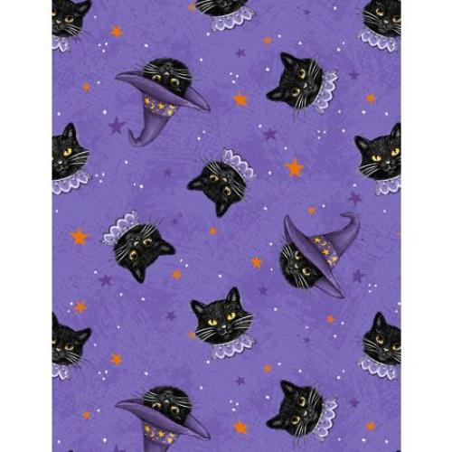 Meow-gical Night Purple