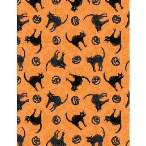 Meow-gical Night Orange