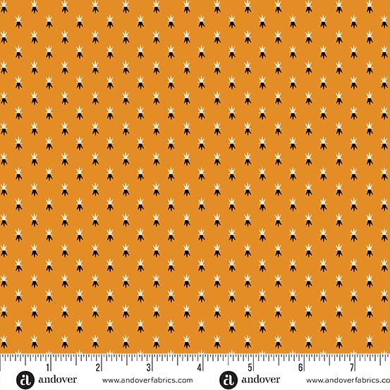 Pumpkin Licorice Orange