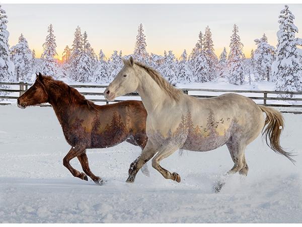 Call of the Wild Panel