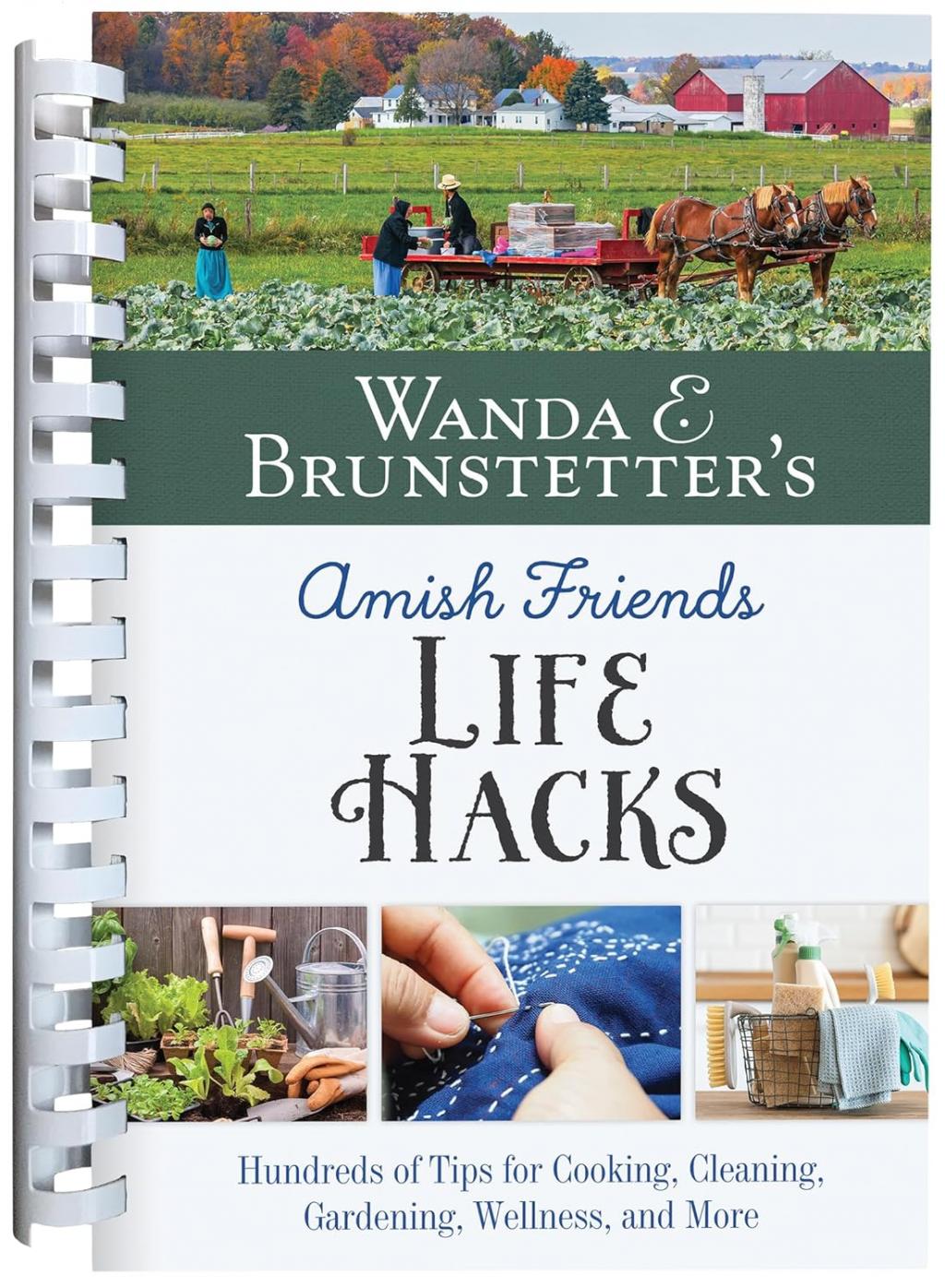 Wanda E. Brunstetter's Amish Friends Life Hacks