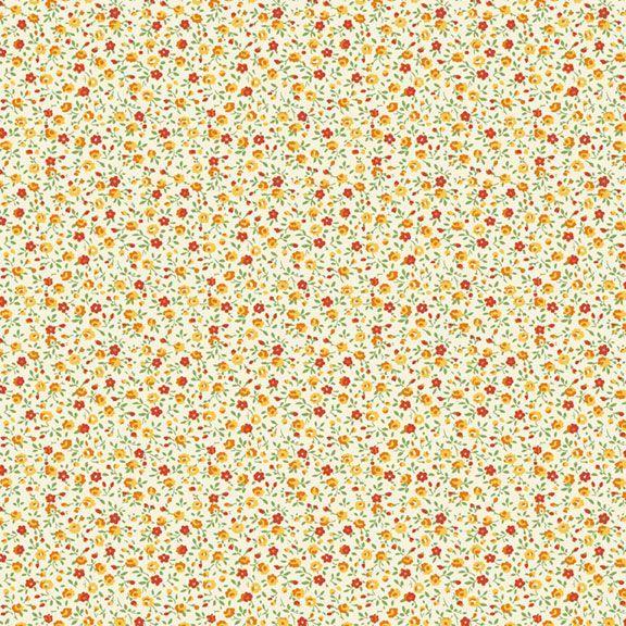 Aunt Grace Garden Variety Orange