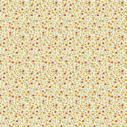 Aunt Grace Garden Variety Orange