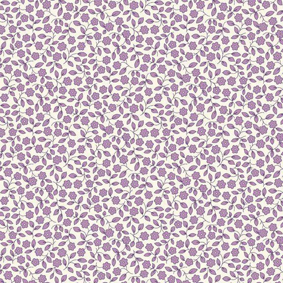 Aunt Grace Garden Variety Purple