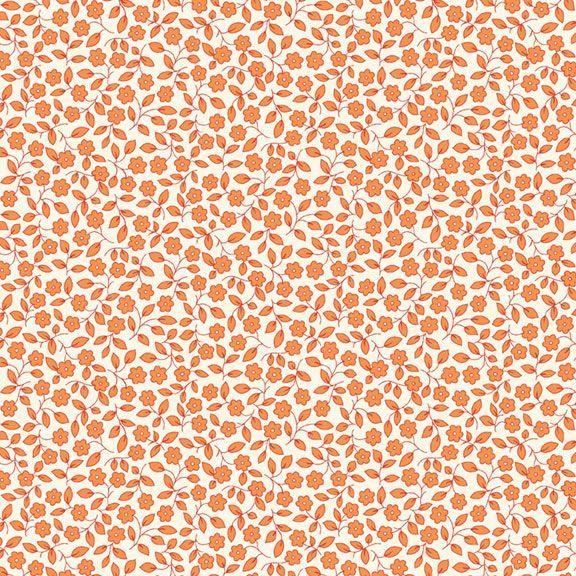 Aunt Grace Garden Variety Orange