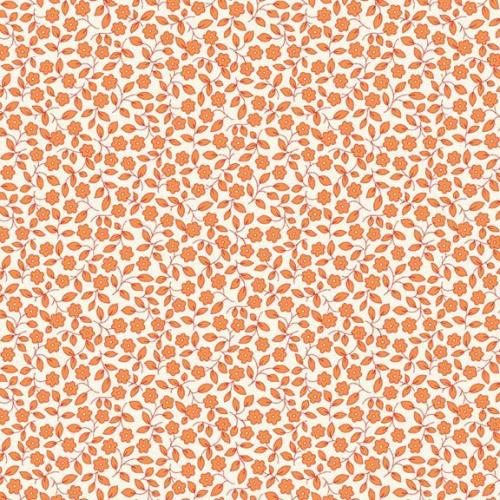 Aunt Grace Garden Variety Orange