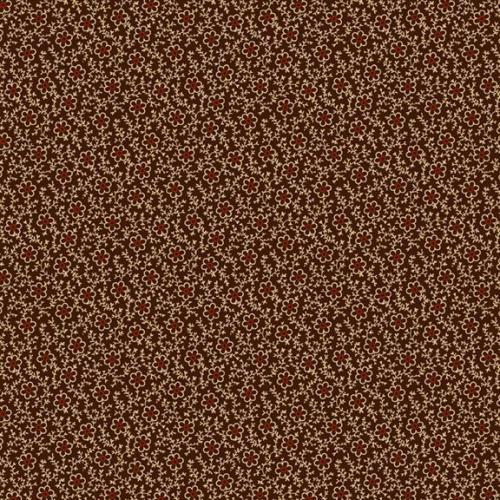 Paula's New Companions Brown