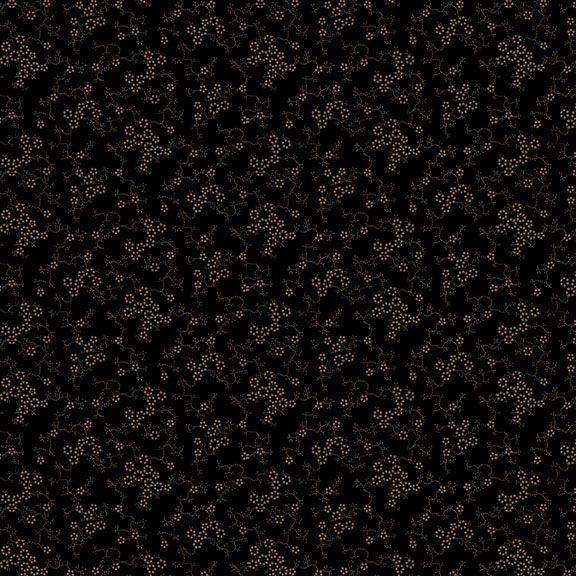 Paula's New Companions Black